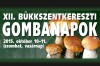 XII. Bükkszentkereszti Gombanapok