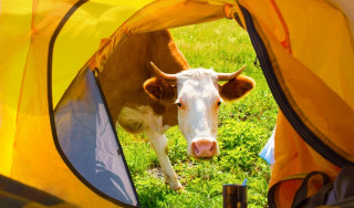 Top 5 falusi turizmus trend az okos marketingeseknek