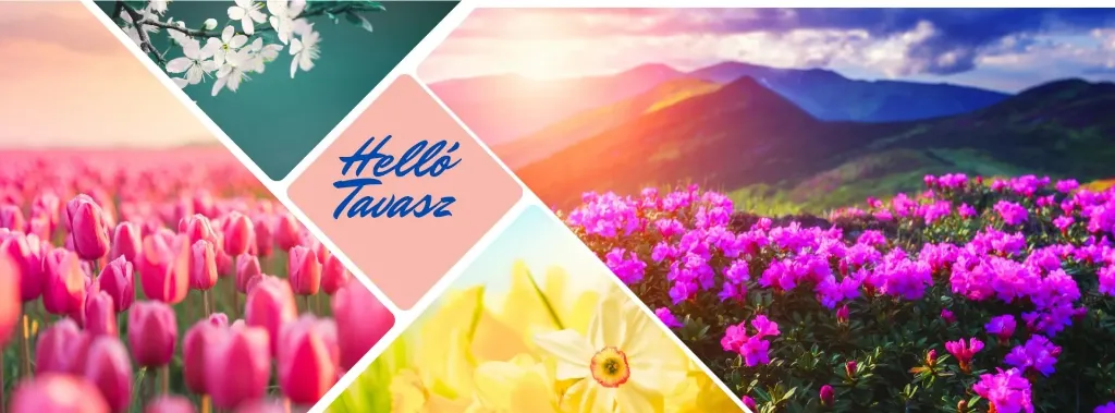 Viszlát tél, helló tavasz!